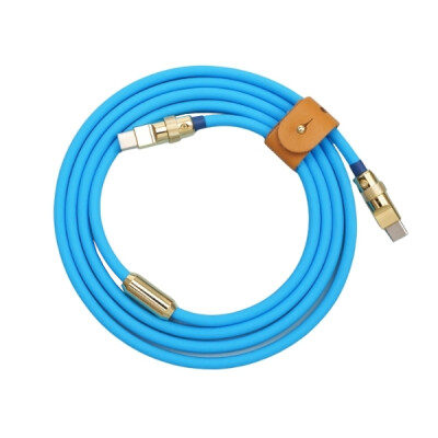 100W Blue Type-C Silicone Fast Charging Cable - 1 Meter - 1