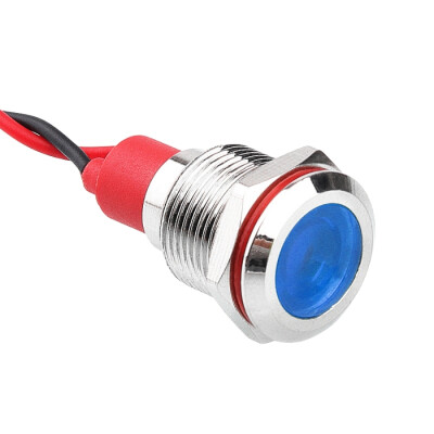 WD12L-P2 12mm 12-24V Metal Signal Lamp - Blue - 1