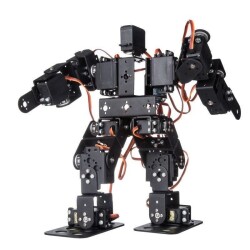 13 Axis Humanoid Robot - Humanoid Robot