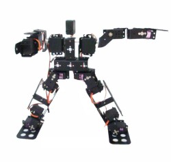 15 Axis Humanoid Robot - Humanoid Robot