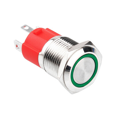 WD16D-P1Z-E 16mm Düz Anahtarlı Işıklı Metal Buton - Yeşil - 1