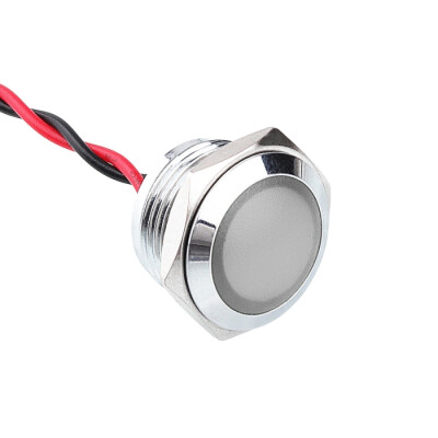 WD16L-P2 16mm 12-24V Metal Signal Lamp - White - 1