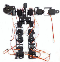 19 Eksenli İnsansı Robot - Humanoid Robot
