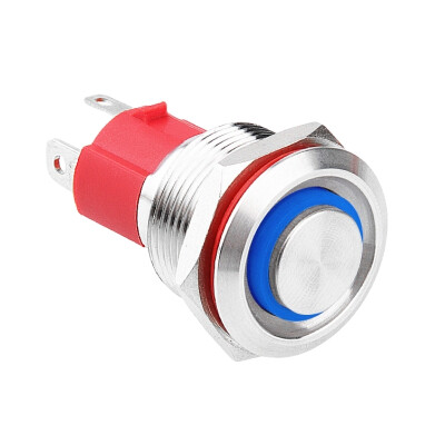 WD19D-G1Z-E 19mm Çıkık Anahtarlı Işıklı Metal Buton - Mavi - 1