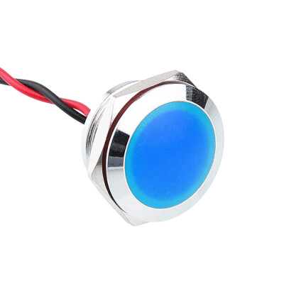 WD19L-P2 19mm 12-24V Metal Signal Lamp  - Blue - 1