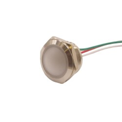 WD19L-P2/RG+ 19mm 12-24V Metal Signal Lamp - 2 Renk Anode