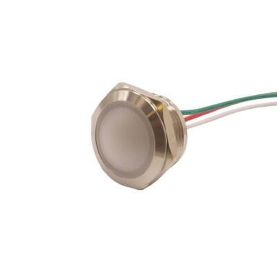 WD19L-P2/RG+ 19mm 12-24V Metal Signal Lamp - 2 Renk Anode - 1