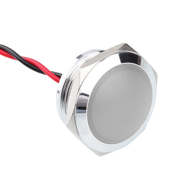 WD22L-P2 22mm 12-24V Kablolu Metal Sinyal Lambası - Beyaz - 1