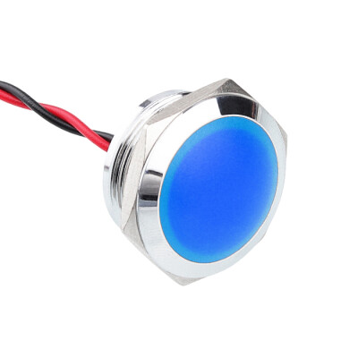 WD22L-P2 22mm 12-24V Kablolu Metal Sinyal Lambası - Mavi - 1