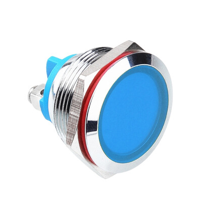 WD22L-P0 22mm 12-24V Metal Sinyal Lambası - Mavi - 1