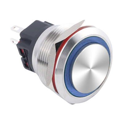 WD25B-G1Z-E 25mm Çıkık Anahtarlı Işıklı Metal Buton - Mavi - 1