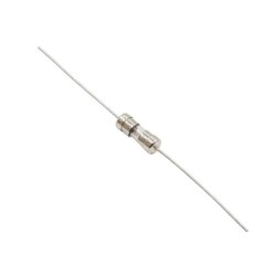 2A 3.6x10mm Delay Glass Fuse