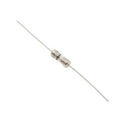 2A 3.6x10mm Delay Glass Fuse