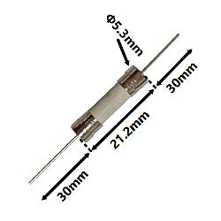 5N T10AH 10A 5x20mm Time-Delay Ceramic Fuse - 2