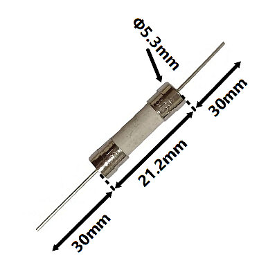 5N T10AH 10A 5x20mm Time-Delay Ceramic Fuse - 2