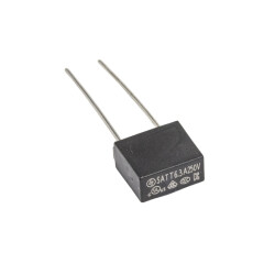6.3A 250V Capacitor Type Delay Fuse