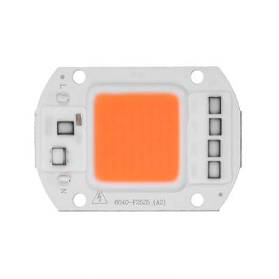 Amber Kehribar 220V Projektör Cob Led 50W Driver Çipli - 1