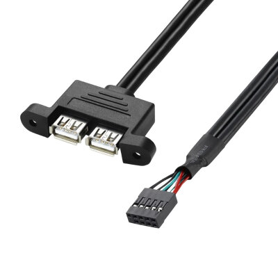 Çift USB 2.0 Dişi - 9-Pin Header Anakart Uzatma Kablosu - 30cm - 1