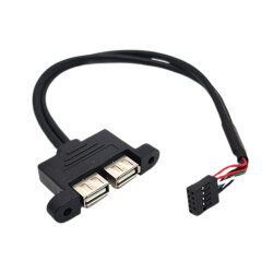Çift USB 2.0 Dişi - 9-Pin Header Anakart Uzatma Kablosu - 30cm - 2