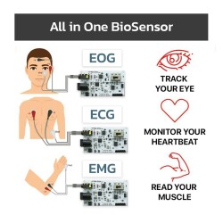 EMG EOG EKG Sensör Kartı (Kas, Göz ve Kalp Sinyalleri Algılama)