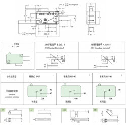 KW3-0Z-C21A233L19-D-1-SP SPST NO 2-Pin Ağırlıklı Micro Switch - 2
