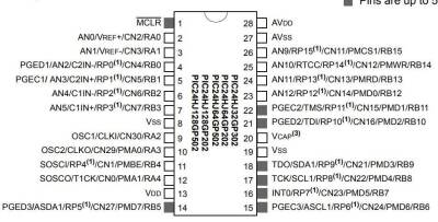 PIC24HJ128GP202-I/SP SPDIP-28 80MHz Mikrodenetleyici - 2