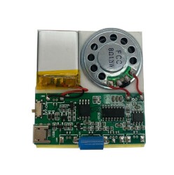 Vibration Sensor Controlled Audio Recording and Playback Module