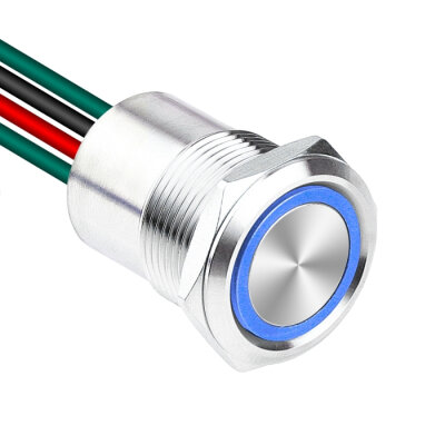 WD19D1-P2-E 19mm Düz Yaylı Işıklı Kablolu Metal Buton - Mavi - 1