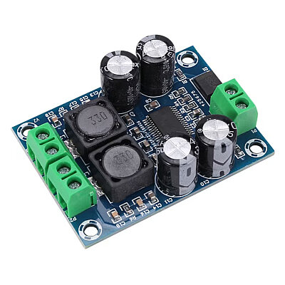 XH-M311 TPA3118 30W Mini Mono Amplifier Module - 1