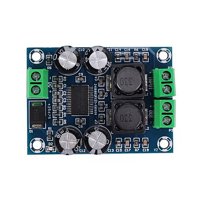 XH-M311 TPA3118 60W Mini Mono Amplifier Module - 3
