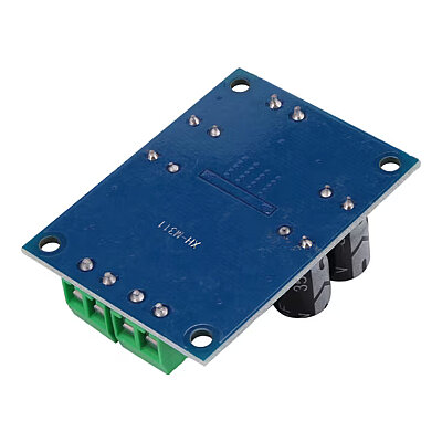 XH-M311 TPA3118 60W Mini Mono Amplifier Module - 4